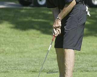 William d Lewis the vindicatorDominic Vechiarelli lines up a putt Friday at Mill Creek.