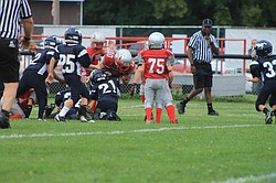 Austintown Little Falcons