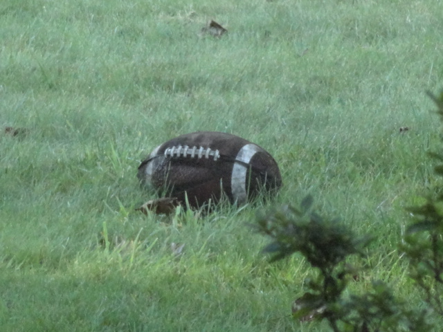 It's Football time in the Valley!
