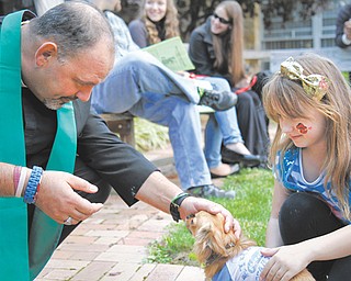 The Rev. Jeff Baker of Christ Episcopal Church in Warren blesses Pup, a long-haired chihuahua owned by Madison Kuta, 6. The church conducted its sixth annual Pet Celebration on Sunday.