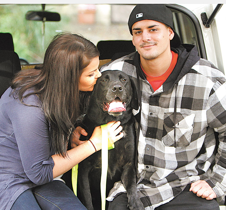 Beo was reunited Wednesday morning with his owner, U.S. Army Private First Class Michelle Delvillan. 
The 80-pound black lab, sporting a yellow U.S. Army collar, watched from Carella’s driveway as Delvillan and her husband, Rob Rodrigues, drove up.