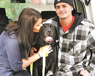 Beo was reunited Wednesday morning with his owner, U.S. Army Private First Class Michelle Delvillan.
The 80-pound black lab, sporting a yellow U.S. Army collar, watched from Carella’s driveway as Delvillan and her husband, Rob Rodrigues, drove up.