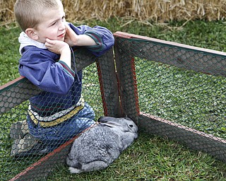 MADELYN P. HASTINGS | THE VINDICATOR
Jadin VanPelt, 5, sits back an enjoys the view of the animals at the autumn festival at Beaver Township Nature Preserve.