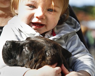 MADELYN P. HASTINGS | THE VINDICATOR
Abigail Olson, 1, of Warren, cuddles with Riddick the puppy at the pet blessing on September 30, 2012.