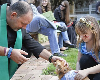 MADELYN P. HASTINGS | THE VINDICATOR
Reverend Jeff Baker blesses Madison Kuta's (6) dog, Pup, the longhaired chihuahua at the pet blessing in Warren, Ohio.