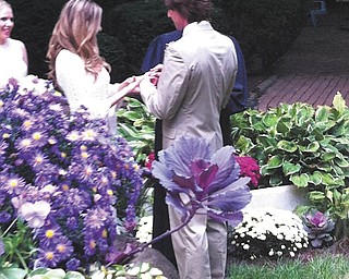 Marsha Karzmer of Boardman sent in this photo from the Sept. 29 wedding of Carly Karzmer, her daughter, and Justin Gable. They are surrounded by mums, astors and dahlias in Marsha's backyard garden.