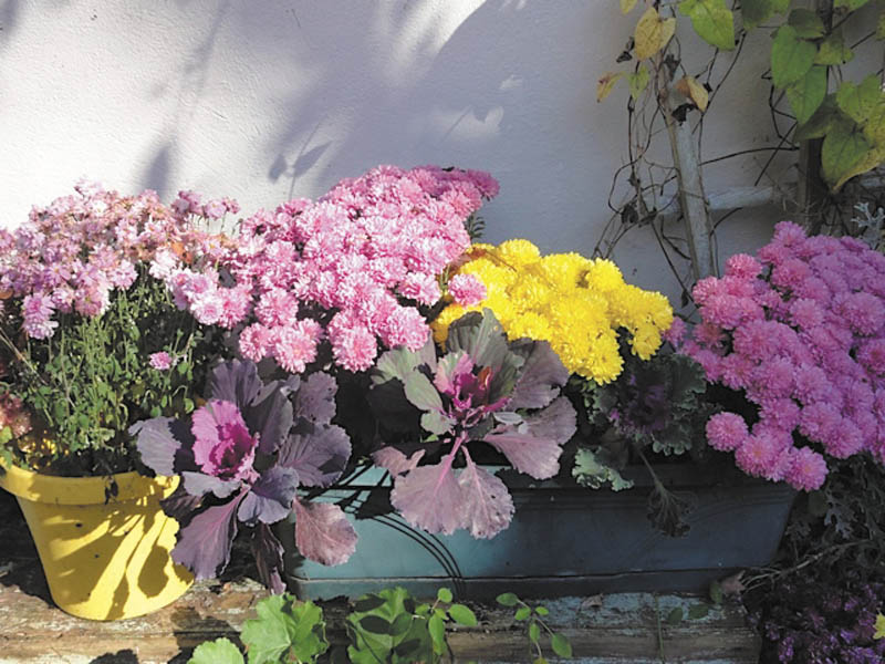 Photo detail