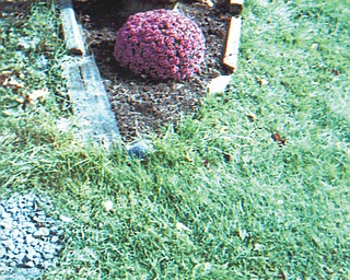Shirley Birnesser of East Palestine sent this pictures of her mums.