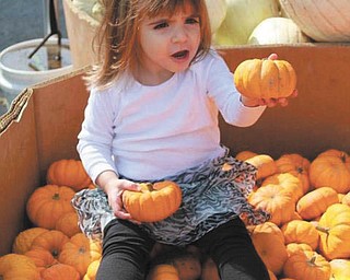 We received this picture of Sophia Testa, 22 months, enjoying the treasures of fall (taken by her "favorite nanny Pretty Britt").