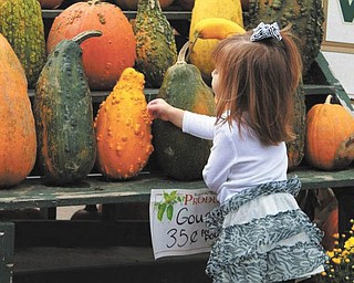 We received this picture of Sophia Testa, 22 months, enjoying the treasures of fall (taken by her "favorite nanny Pretty Britty").