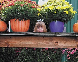 We received this picture of Sophia Testa, 22 months, playing peekaboo with her "favorite nanny Pretty Britty."