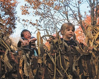 Lorenzo Michael Testa (2 weeks old) and Sophia Sicilia Testa (22 months old) are enjoying a beautiful fall day.