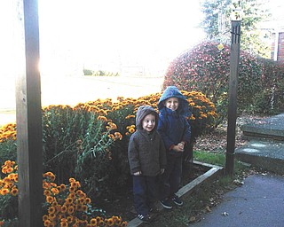 Millie Valentino sent this adorable picture of Alexander and Vasilios, with this question: "Do you think they were hiding in the mums?"