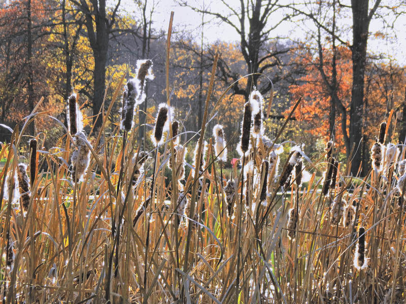 Photo detail