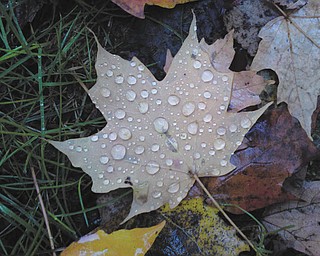 Billy Ray submitted this photo.