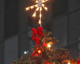 William d LEwis The Vindicator City Christmas Tree downtown Y-town.