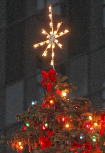 Photo detail