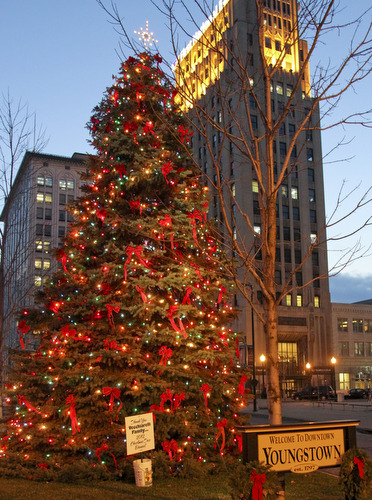 William D LEwis  The Vindicator   City Christmas tree.