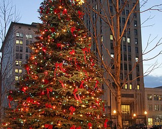 William D LEwis The Vindicator City Christmas tree.