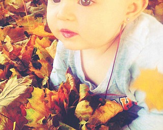 Erin Lenhart of Boardman says her resolution is to take more pictures this year so she is able to capture more beautiful moments like this one of her niece, Skylar Rae, who is playing in the leaves!