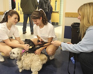 William D. Lewis the Vindicator Wilmington cheerleaders Katelyn Corner, left, and Emily Reed, both 10th graders, pet therapy dogs while school pyschologist Dr. Cynthia Wright looks on during a basket ball game Saturday 1-5-13 at Wilmington shools. A student was killed in a traffic accident Friday and a large crowd turned out at the basketball game.