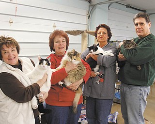Second Chance Animal Rescue is sponsoring its 13th Annual Night at the Races on Saturday at the Saxon Club. From left, holding a few of the rescued cats, are Lori Osborne, Helen Dolak, Jo Ann Barrows and Gordy Morgan. PHOTO BY ROBERT K. YOSAY | THE VINDICATOR