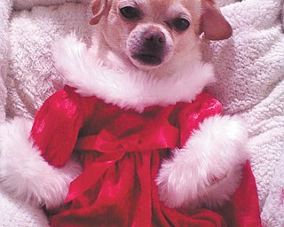 Roberta Cencer sent in this photo. "This is Casey, my 8-year-old love of my life, dressed in one of her many lovely dresses!" she wrote.