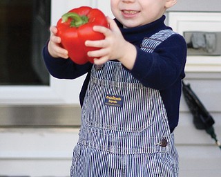 Wesley beams as he examines a red bell pepper he pulled out of the box.