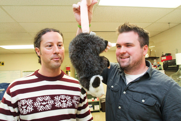 YSU professor Michael Butcher, left, and graduate student Joe Rupert are researching Costa Rican opossums and their tails, which serve as a long, hairless fifth appendage.