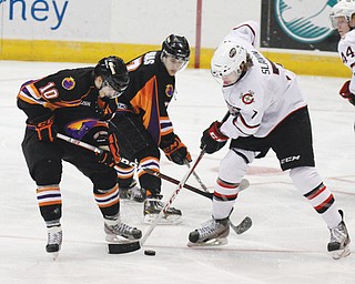 Youngstown’s Nathan Walker (10) and Sam Anas (7) battle Chicago’s Jacob Slavin for the puck during the Phantoms’ School Day game Wednesday at the Covelli Centre. Hundreds of students from area schools watched as the Phantoms shut out the Steel, 4-0.