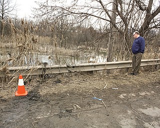 Warren Councilman John Brown stands by the side of Niles Warren River Road and the pond into which a sport utility vehicle flipped March 10, killing six Warren teens.