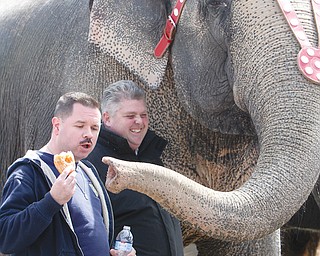 Youngstown police Patrolman Joe Moran tries to keep an elephant from eating his doughnut during a food-eating contest Thursday. Eventually, Moran gave the doughnut to the elephant.