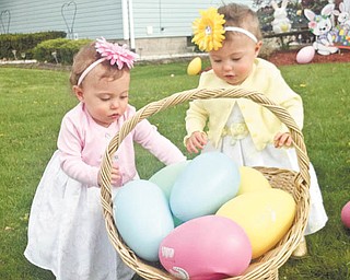 Olive and Ellie Kotarski look like they're working together for that big basket of extra-large eggs. Photo submitted by Jason Kotarski.