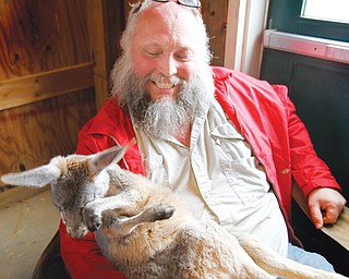 Dwayne Felger holds a baby kangaroo at the Mill Creek MetroParks Farm baby shower celebrating the arrival of the new animals.