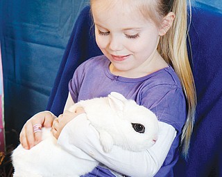 Makayla Martuccio, 4, of Mineral Ridge holds a baby bunny at Sunday’s event.