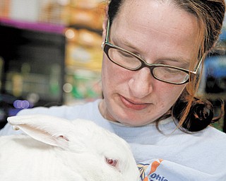 Dana Donnelly of Ohio House Rabbit Rescue holds her rabbit Kris at Quality Pet Mart in Austintown.