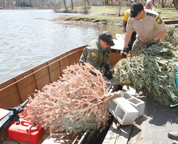 Dan Wright, a state fish-management technician, right, moves trees with attached concrete blocks to Matt Wolfe, state fisheries biologist, to be deposited into Lake Glacier near the Old Log Cabin on Price Road as fish habitat.