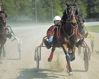 Jim Criss, center, takes an early lead with Zing Zing during Sunday’s harness races at the Canfield Fairgrounds. The event was for inexperienced horses to try racing.