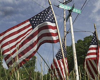 William D. Lewis\The Vindicator Flags placed at Edinburg and Ayshire in Austintown.
