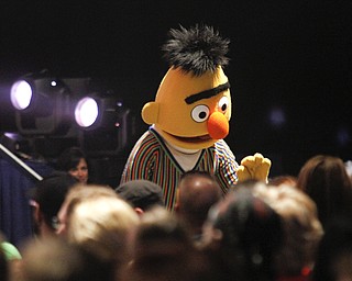MADELYN P. HASTINGS | THE VINDICATOR
Burt from Sesame Street greets the audience during their show at the Covelli Centre on May 25, 2013. They will have two more shows Sunday.