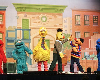 MADELYN P. HASTINGS | THE VINDICATOR
The gang from Sesame Street performed at the Covelli Centre on May 25, 2013. They will have two more shows Sunday.