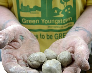 William D. Lewis\The Vindicator
Mason Carratt holds"seed Bombs" near his garden on Hillman in Youngstown 6/10/13They are clay balls filled with excess seeds. he encourages people to toss them onto vacant lots around the city. He has cleaned up a vacant trash filled lot and planted a garden where he plans to offer produce to those in need.
