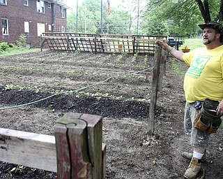William D. Lewis\The Vindicator
Mason Carratt stands near his garden on Hillman in Youngstown 6/10/13 He has cleaned up a vacant trash filled lot and planted a garden where he plans to offer produce to those in need.