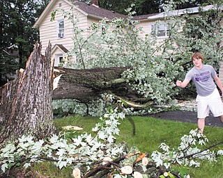 Crispin Donahue of Gates Street, Cortland, starts to clear away a large maple tree that fell on his family’s house. The tree, which fell about 3 a.m. Thursday during high winds and a thunderstorm, damaged the home’s roof and a car.