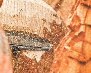 Bob Anderson carves a sculpture of a mountain man into a 300-year-old tree in Mesopotamia, Ohio. The tree was hit by lightning about six years ago and this is a way to salvage the remainings.
