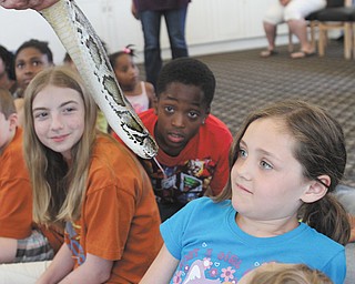A 12-foot Burmese python gets the full attention of, from left, Hannah Harris, 12; Naiden Maynard, 8; and Kyleigh Kiester, 7, during an animal presentation by Jungle Terry. Terry, whose real name is Terry Sullivan, showed off the reptile Monday at the East Side public library on Jacobs Road.