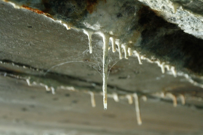 Photo detail