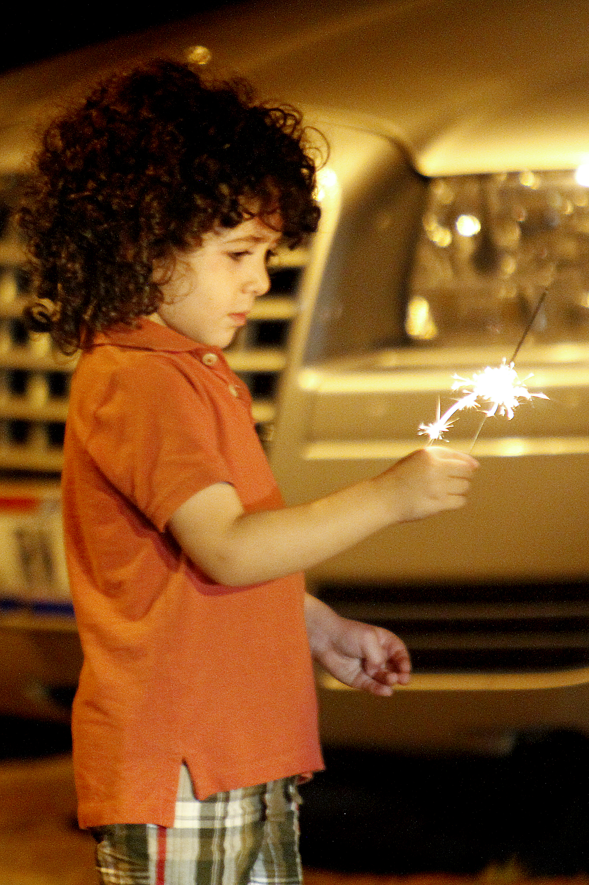 MADELYN P. HASTINGS | THE VINDICATOR

Albara Jwayyed, 3, of Katy, Texas holds a sparkler before watching the firework display shot from the Covelli Centre in downtown Youngstown on July 4, 2013.