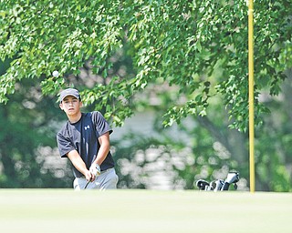 Anthony Graziano of Girard chips onto the green from the rough on the fifth hole of Tamer Win Golf & Country Club in Cortland during the last Juniors boys qualifier Monday for the Greatest Golfer of the Valley tournament. Four more golfers advanced to the final, which will be July 28 at Trumbull Country Club.