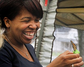 MADELYN P. HASTINGS | THE VINDICATOR

Tenette White admires and feeds a butterfly at the butterfly festival at the South Side Community Garden on Saturday, July 20. The festival was funded by the Youngstown Neighborhood Development Corp. as part of the USDA People’s Garden grant. 
